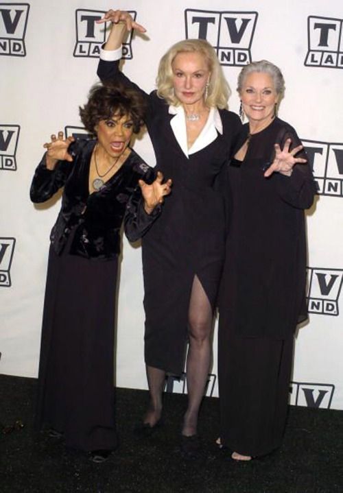 First Played By Julie Newmar Then Eartha Kitt And Lastly Lee First Played By Julie Newmar Then Eartha Kitt And Lastly Lee